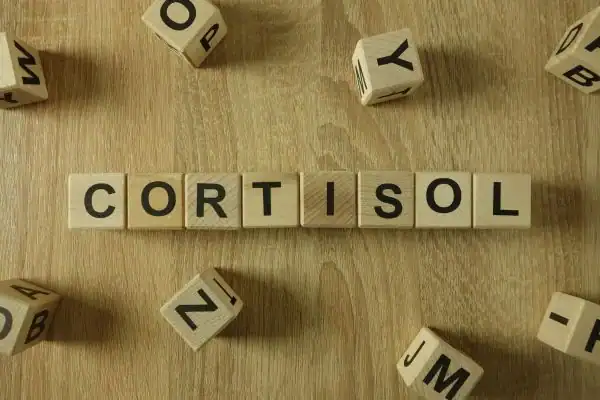 The Hidden Connection: How Stress Shapes Your Fitness and Body Composition 2 Image saying "Cortisol" and how stress Southall impacts your wellbeing and bodies shape